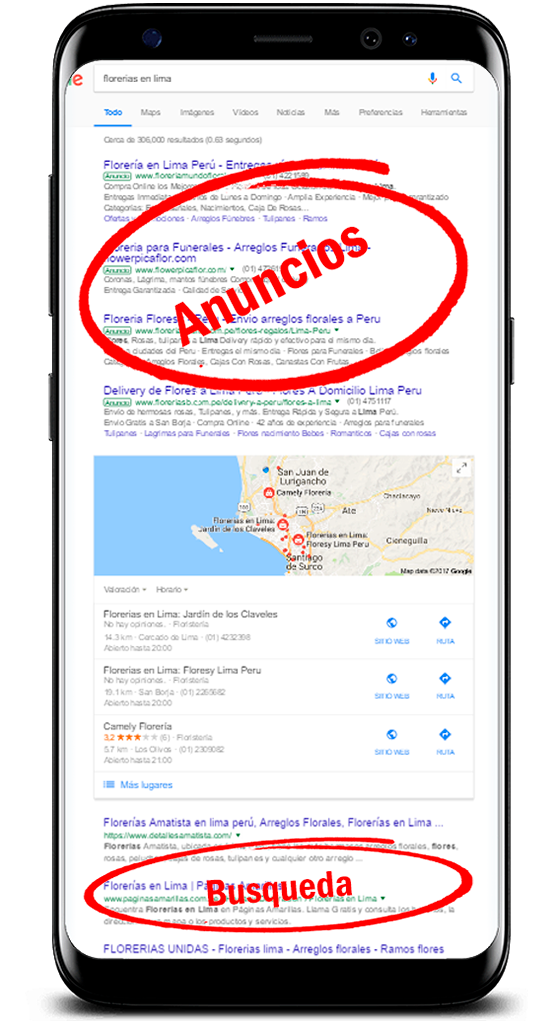 google adwords características diseño web rogersoto.com