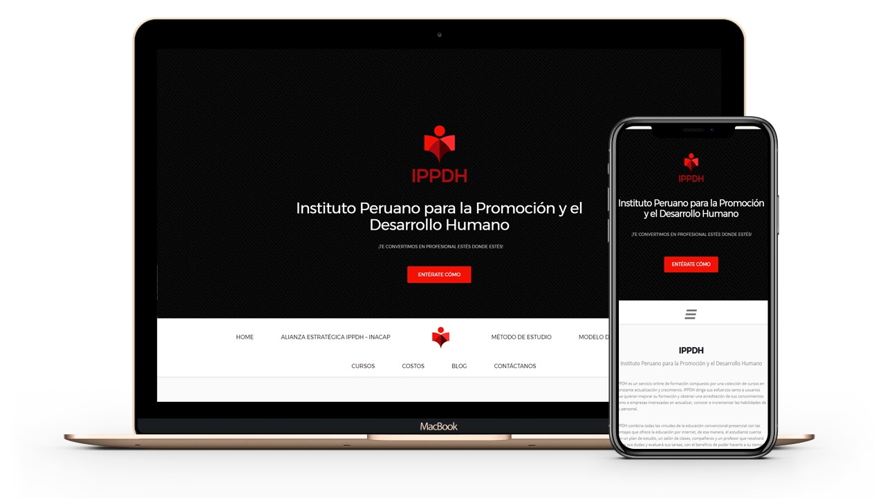 Diseño web Empresarial para IPPDH