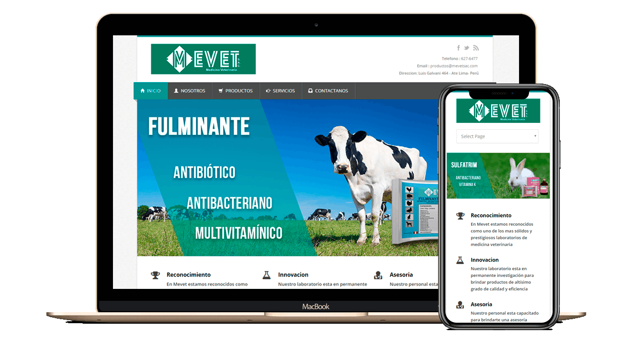 Diseño web Empresarial para Agro Veterinaria MEVET
