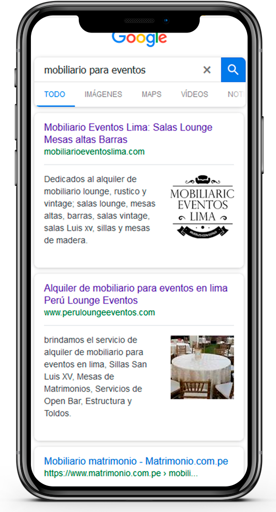 posicionamiento web SEO rogersoto.com