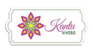 imagen portafolio